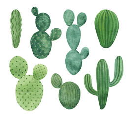 Watercolor cactuses set isolated on white background. Simple hand-drawn houseplants clipart. Green desert succulents