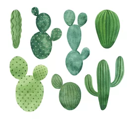 Afwasbaar Fotobehang Cactus Watercolor cactuses set isolated on white background. Simple hand-drawn houseplants clipart. Green desert succulents