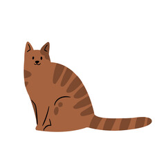 cat vector illustrations in flat style clipart