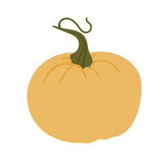 Fall illustrations with pumpkin, autumn pumpkin clipart, pumpkin vector illustration in flat style.