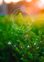 abstract green background with icons. ecology sustainability and renewals concept - obrazy, fototapety, plakaty