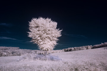 infrared photography - ir photo of landscape under sky with clouds - the art of our world in the...