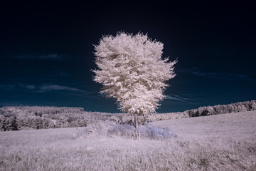 infrared photography - ir photo of landscape under sky with clouds - the art of our world in the infrared spectrum