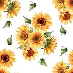 Sunflower seamless pattern. Yellow summer floral illustration isolated on white background. Repeating design
