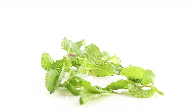 a bunch of fresh green mint leaves in white background rotating side shot