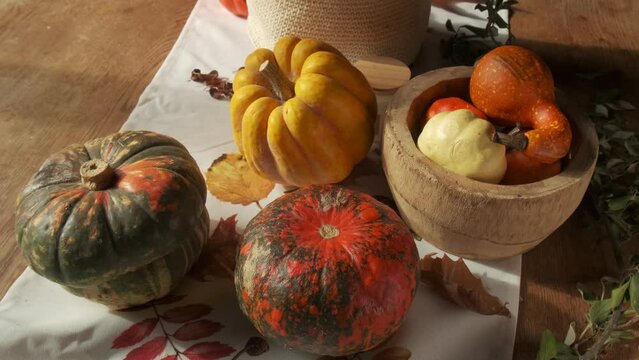 Autumn fall vibes with colorful squashes and pumpkins, slow motion moves, 4K