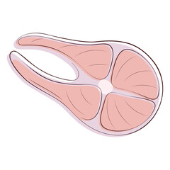 doodle illustration of fish steak