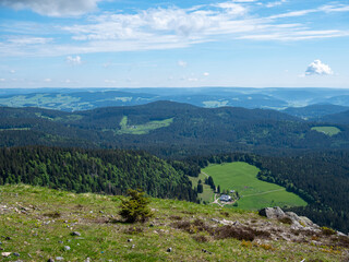 Fototapeta na wymiar Blick über die Wälder des Schwarzwald in Deutschland