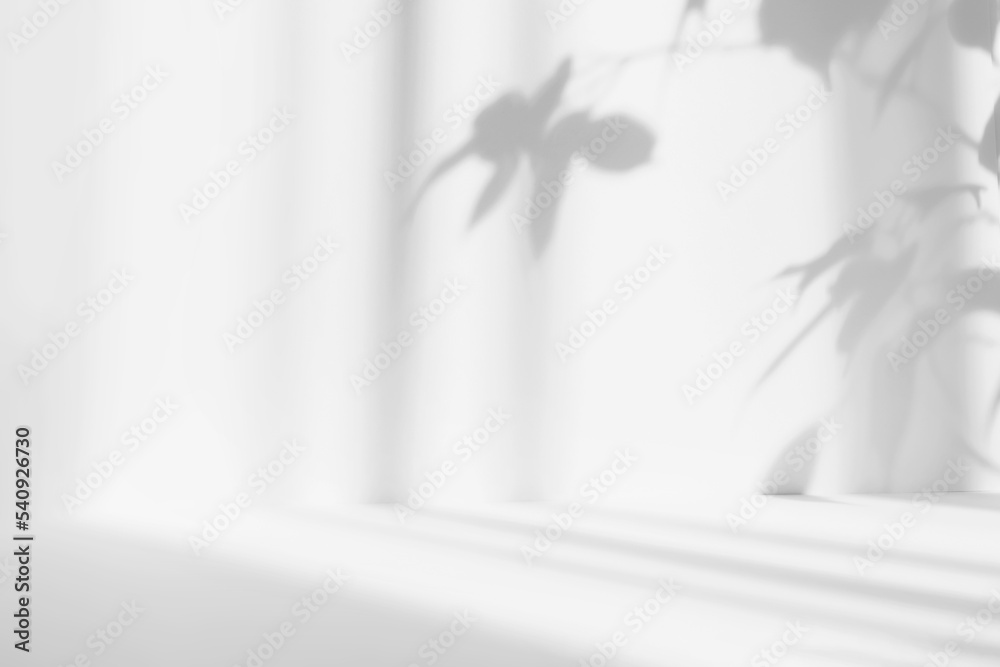 Poster Abstract white studio background for product presentation. Empty room with shadows of leaves. Display product with blurred backdrop.