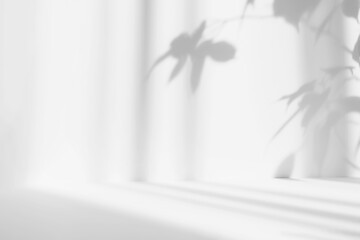 Abstract white studio background for product presentation. Empty room with shadows of leaves. Display product with blurred backdrop.