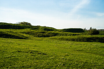 field and sky