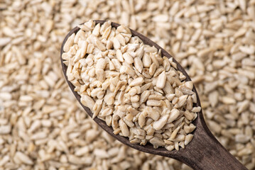 Sunflower grain in spoon. High quality harvested and peeled sunflower grain