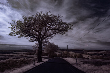 infrared photography - ir photo of landscape under sky with clouds - the art of our world in the...