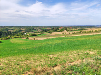 landscape of National Park Fruska Gora mountain in september