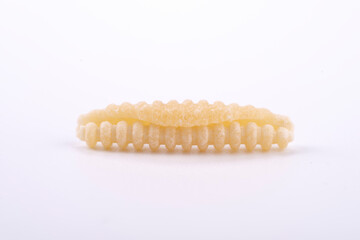 Gnocchi  tipica  pasta sarda su fondo bianco 