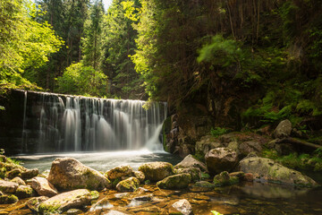 Obraz premium waterfall in the woods