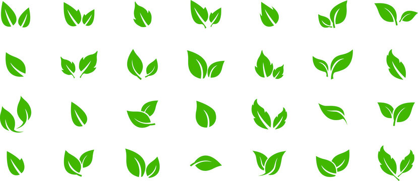 Green leaf icons set. Leaves icon on transparent background. Collection green leaf. Elements design for natural, eco, vegan, bio labels. PNG image