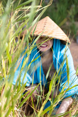 young girl with a Vietnamese straw hat - obrazy, fototapety, plakaty