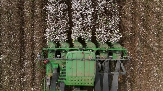 Cotton picker harvesting a field, Top down aerial view