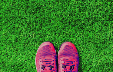 Close up summer sports sneakers on green grass background, top view