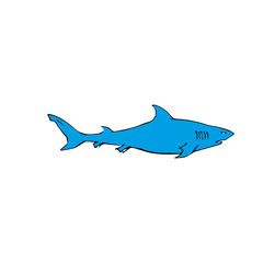 shark vector isolated on white background