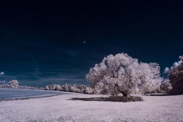 infrared photography - ir photo of landscape under sky with clouds - the art of our world in the...