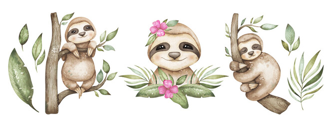 Watercolor set with cute baby sloths and greenery. Delicate arrangements with sleepy animals in retro style