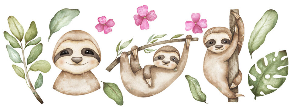 Watercolor set with funny sloths, flowers and leaves. Cute arrangements with friendly animals in retro style - Powered by Adobe