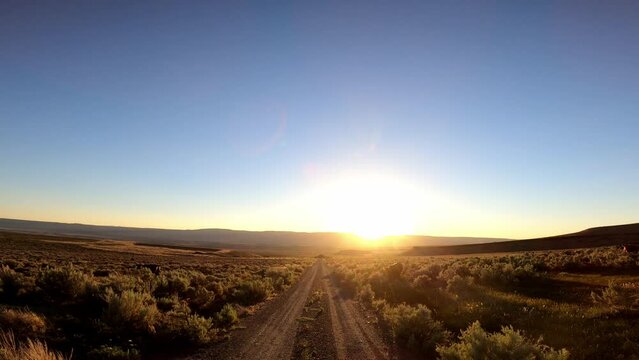 Idaho Dirt Road Cattle 02