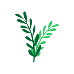 Tropical leaf illustration Vektor
