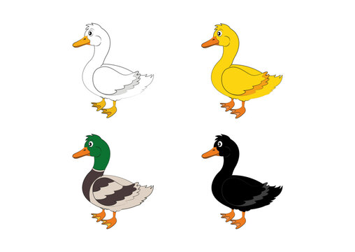 Different color ducks. Vector duck