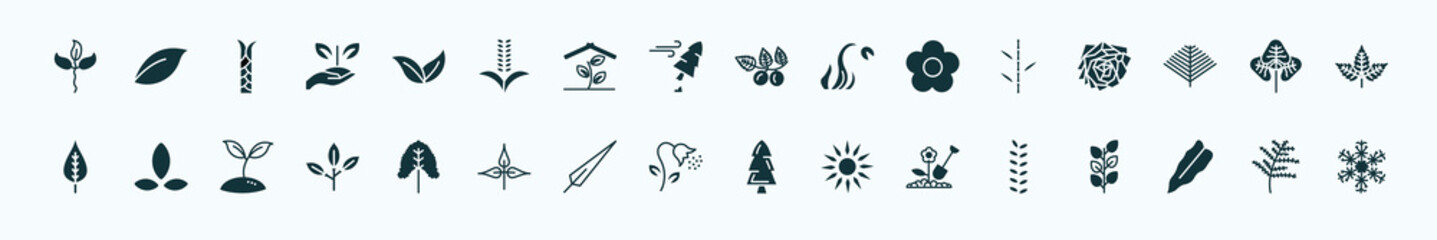 flat filled nature icons set. glyph icons such as cuspicate, apricot leaf leaf, briar leaf, bamboo sticks, reniform, asian, linden pollen, farming, philodendron, cypress icons.