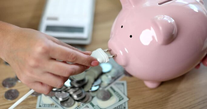 Energy saving and pink piggy bank and female hand