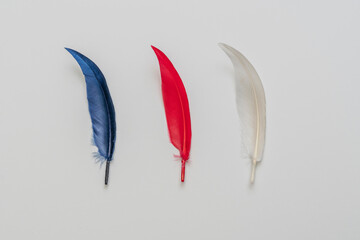 red white and blue bird feathers flat lay, creative simple concept