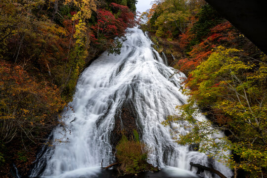 Colorful majestic waterfall in national park forest during autumn nature Photography.Landscape view national nature park Nikko Japan. Beautiful place