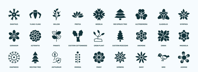 flat filled nature icons set. glyph icons such as dianthus, protea, alstroemeria, geranium, eastern cottonwood tree, anemone, knapweed, mimosa, daisy, bird icons.