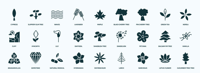 flat filled nature icons set. glyph icons such as cypress, lavender, pin cherry tree, cliff, daffodil, petunia, bougainvillea, hydrangea, narcissus, lotus flower icons.