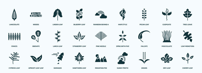 Fototapeta na wymiar flat filled nature icons set. glyph icons such as lanceolate, bilberry leaf, pecan leaf, fences, straberry leaf, falcate, cypress hawthorn grains, dry icons.