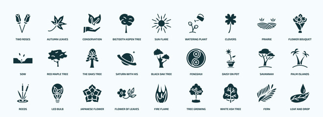 flat filled nature icons set. glyph icons such as two roses, bigtooth aspen tree, clovers, sow, saturn with his ring, daisy on pot, reeds, flower of leaves, white ash tree, fern icons.
