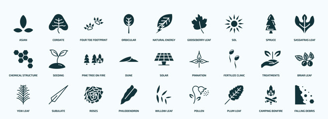 flat filled nature icons set. glyph icons such as asian, orbicular, sol, chemical structure, dune, fertilize clinic, yew leaf, philodendron, plum leaf, camping bonfire icons.