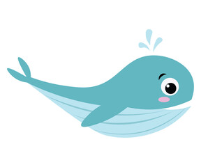 environmental protection nature marine mammals dolphin