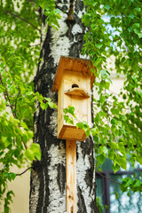 Wooden birdhouse on tree. Bird house hanging on birch tree with green foliage. Spring and caring for birds