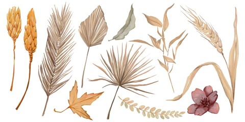 Autumn watercolor plants illustrations of palm leaves, branches and wildflowers 