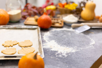 Cookies on a baking sheet for baking baby cookies with copy space. Halloween cookies for kids.