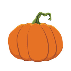 Halloween pumpkin vector illustration