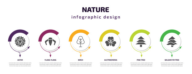 nature infographic template with icons and 6 step or option. nature icons such as aster, ylang-ylang, birch, alstroemeria, pine tree, balsam fir tree vector. can be used for banner, info graph, web, - obrazy, fototapety, plakaty