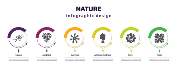 nature infographic template with icons and 6 step or option. nature icons such as vanilla, gemstone, dianthus, american chestnut tree, pansy, zinnia vector. can be used for banner, info graph, web,