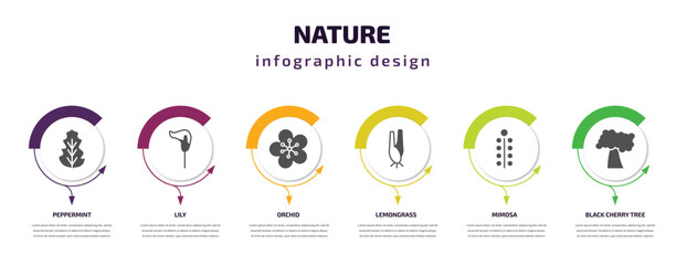 nature infographic template with icons and 6 step or option. nature icons such as peppermint, lily, orchid, lemongrass, mimosa, black cherry tree vector. can be used for banner, info graph, web,