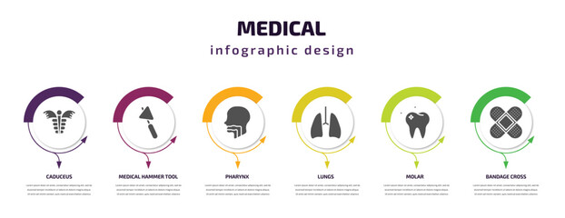 medical infographic template with icons and 6 step or option. medical icons such as caduceus, medical hammer tool, pharynx, lungs, molar, bandage cross vector. can be used for banner, info graph,