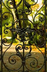 Fototapeta na wymiar decorative part of wrought iron fence with elements look like grapes and leaves